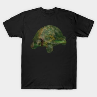 Forest Turtle T-Shirt